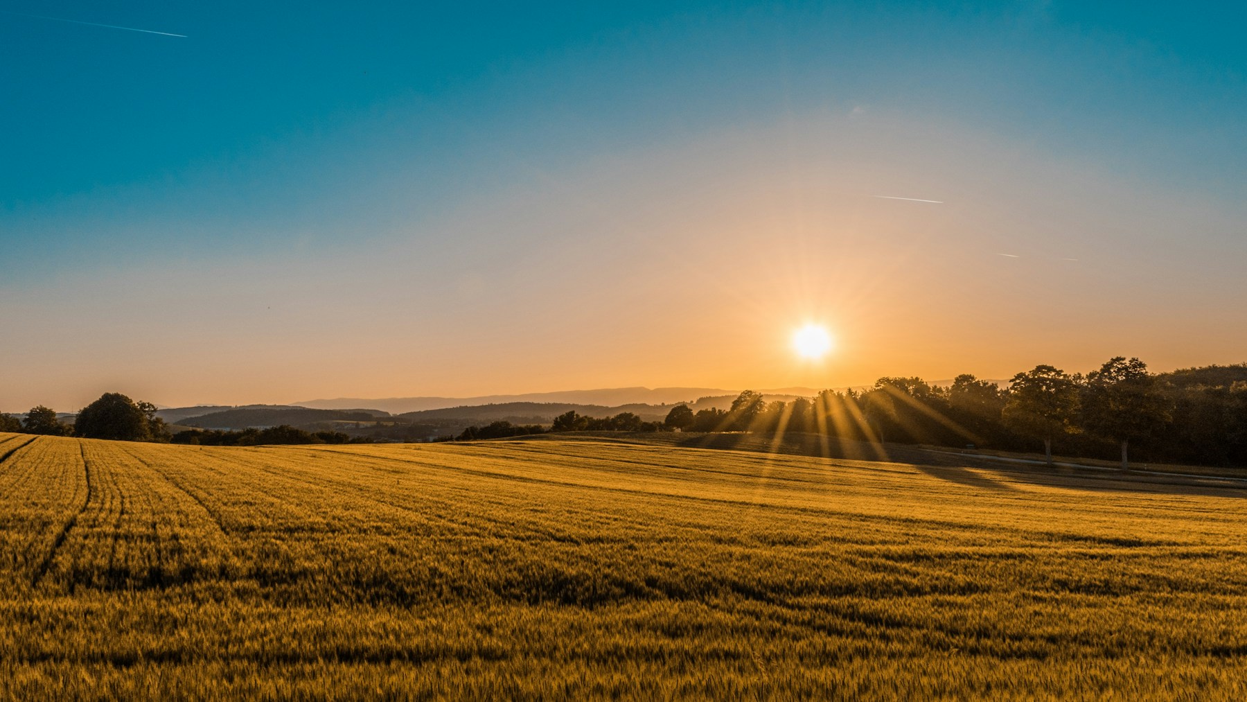Sunlight crossing open farmland at the start of the day